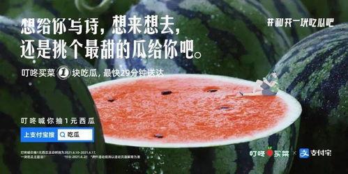 娱乐吃瓜文案图片  第1张