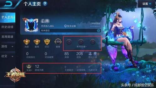 在哪看王者英雄爆料视频  第1张